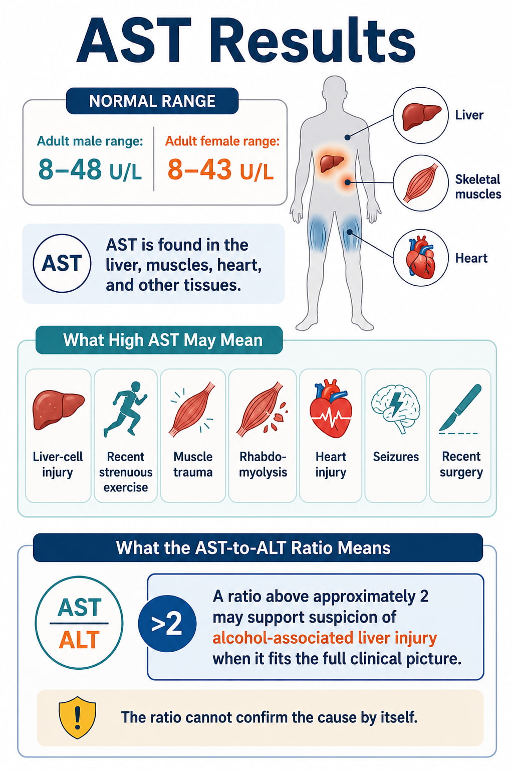 AST Normal Range and Results