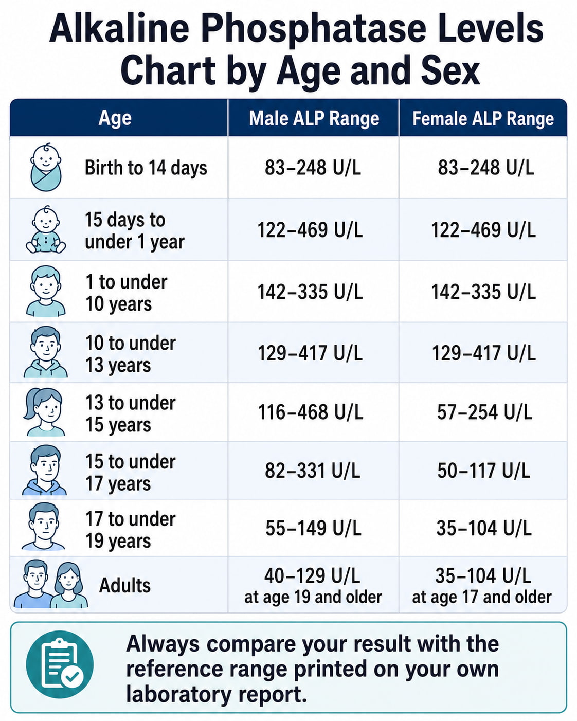 Alkaline Phosphatase Levels Chart by Age and Sex