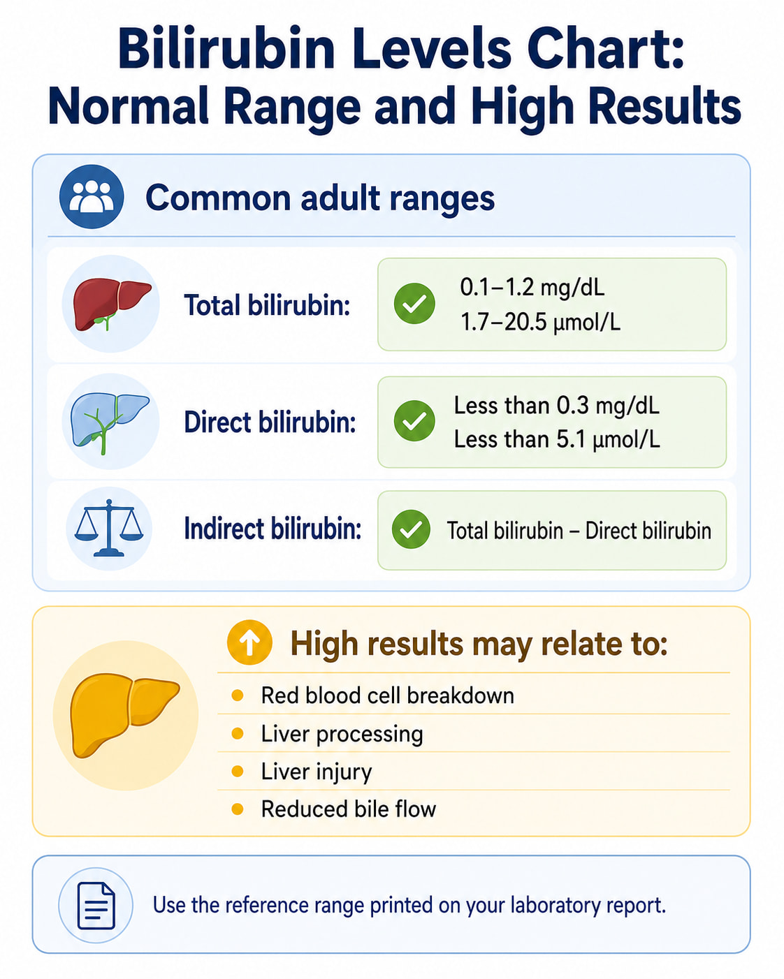 Bilirubin Levels Chart: Normal Range and High Results