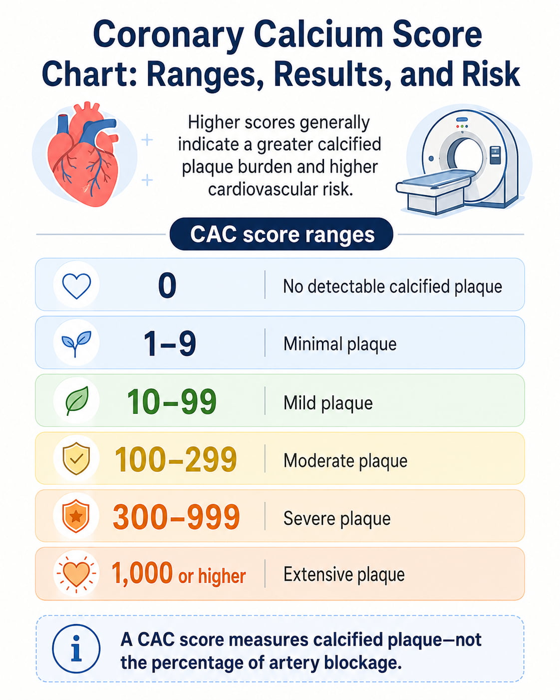 Coronary Calcium Score Chart: Ranges, Results, and Risk
