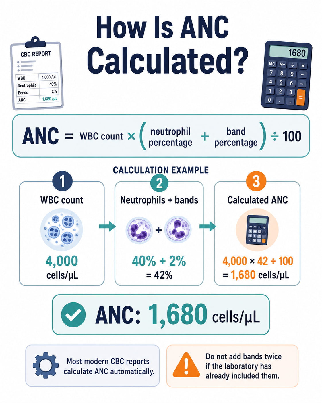 How Is ANC Calculated?