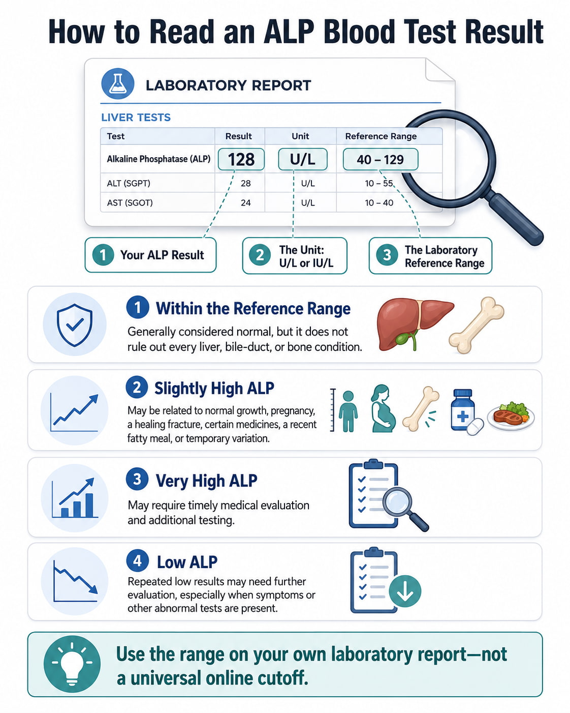 How to Read an ALP Blood Test Result