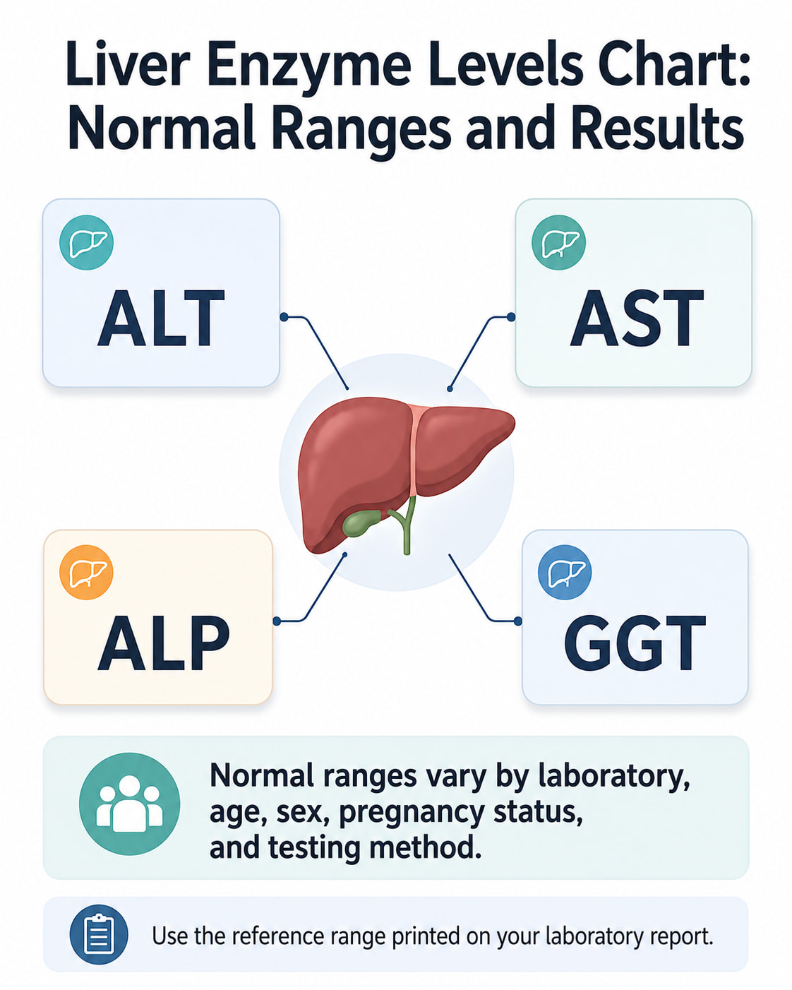 Liver Enzyme Levels Chart: Normal Ranges and Results