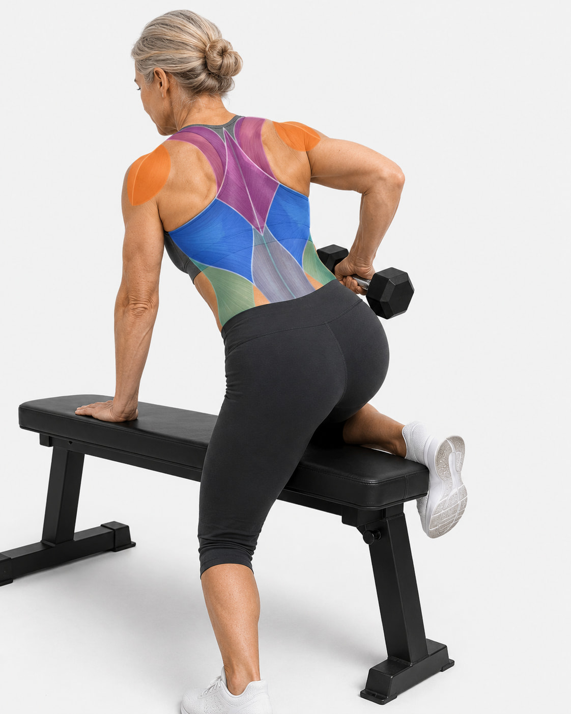 Muscles These Exercises Target