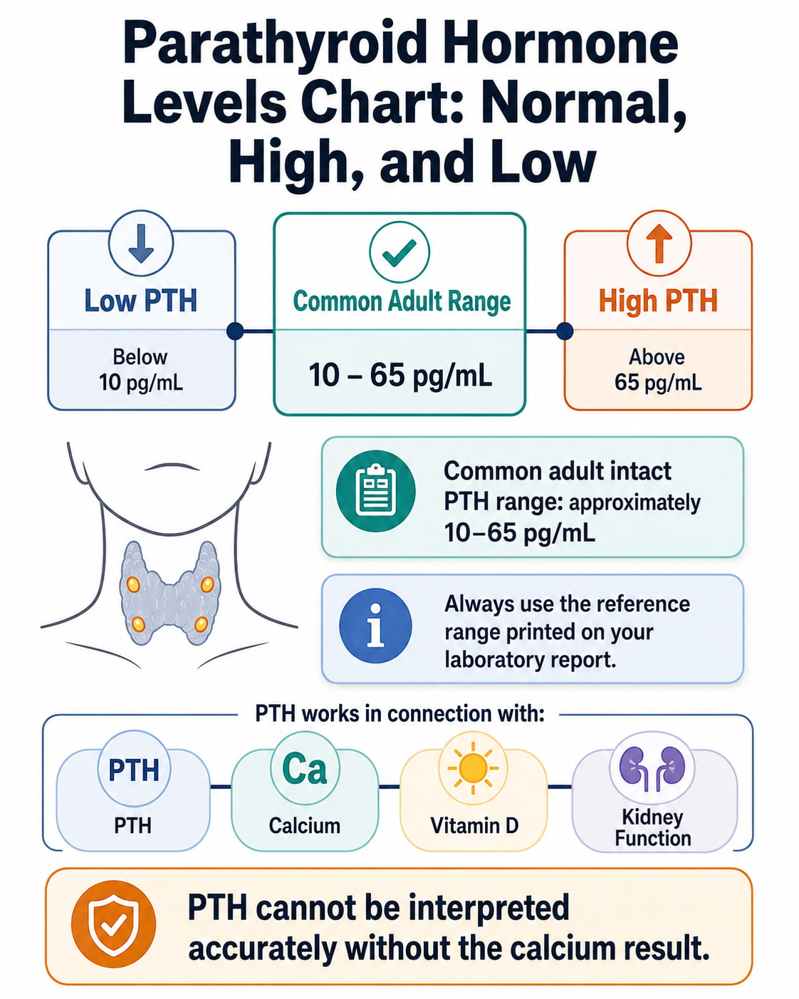 Parathyroid Hormone Levels Chart: Normal, High, and Low