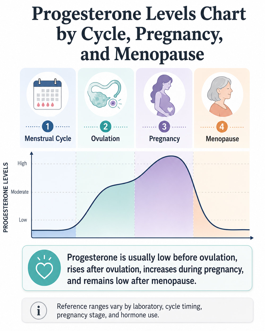 Progesterone Levels Chart by Cycle, Pregnancy, and Menopause