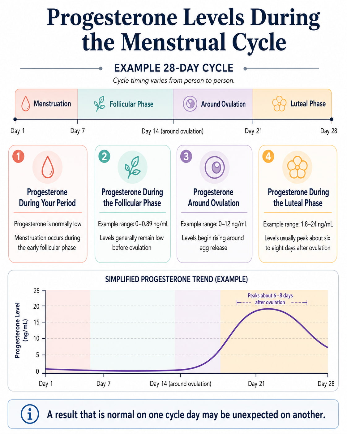 Progesterone Levels During the Menstrual Cycle