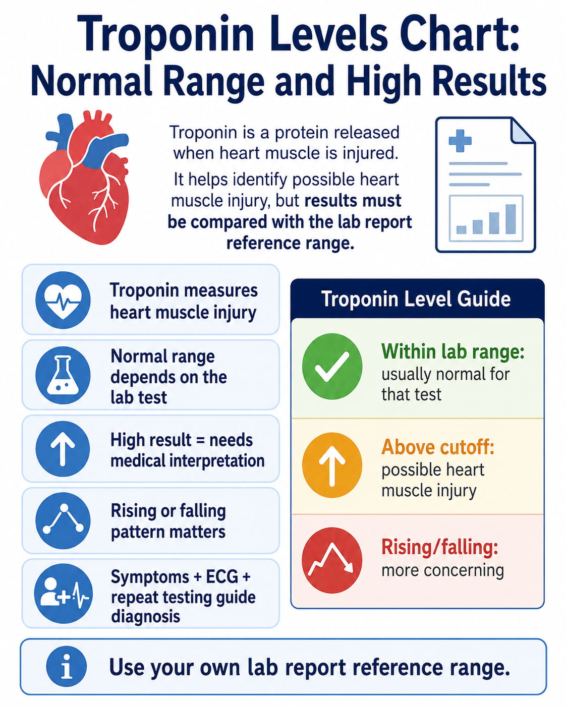Troponin Levels Chart: Normal Range and High Results