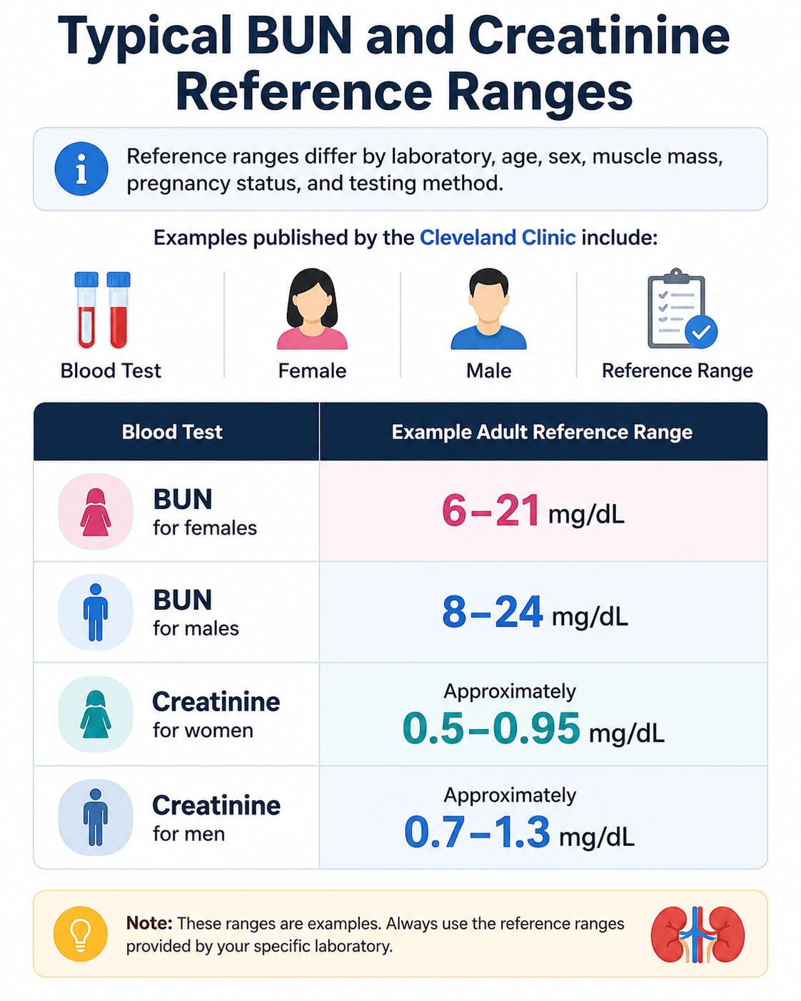 Typical BUN and Creatinine Reference Ranges