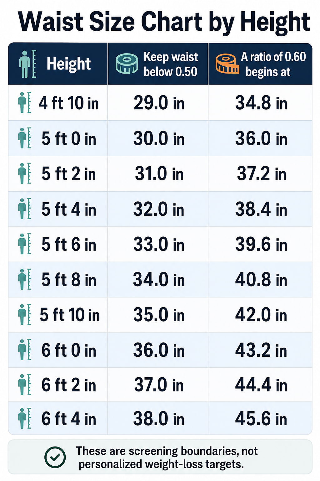 Waist Size Chart by Height