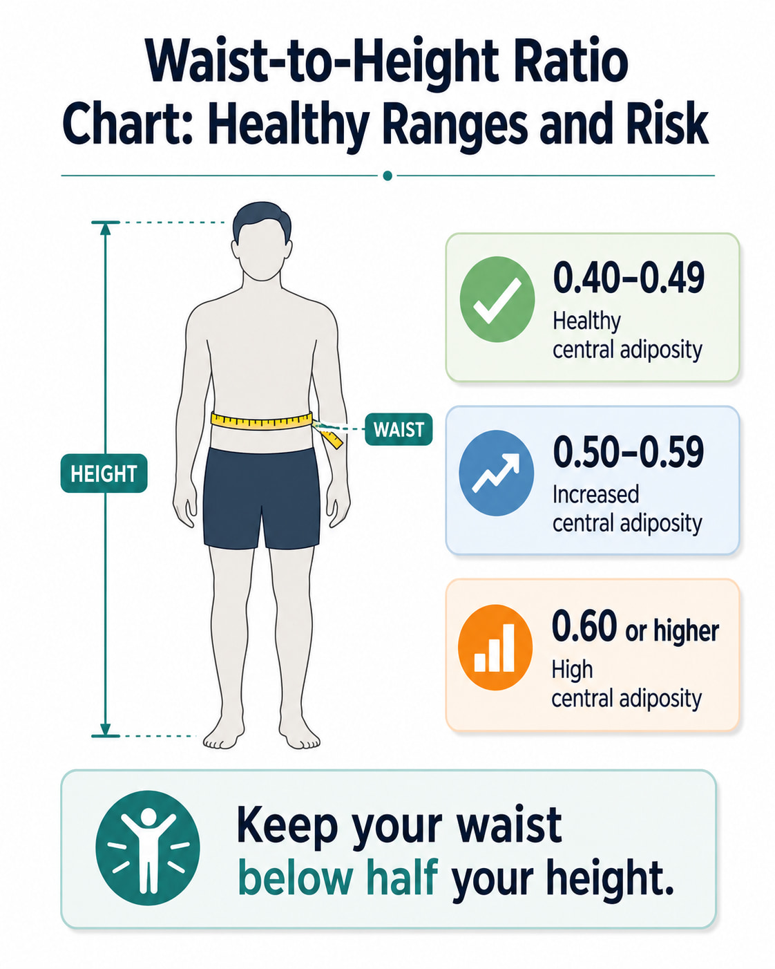 Waist-to-Height Ratio Chart: Healthy Ranges and Risk