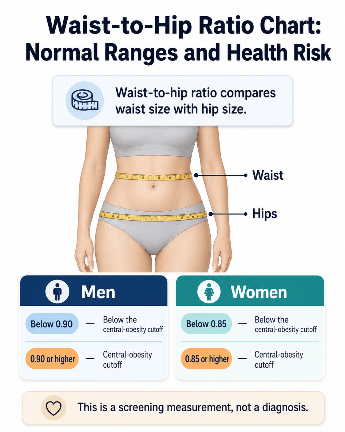 Waist-to-Hip Ratio Chart: Normal Ranges and Health Risk
