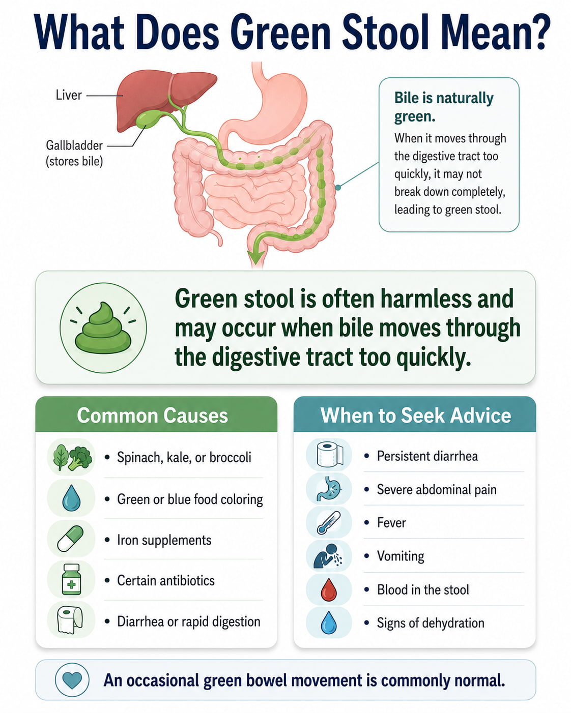 What Does Green Stool Mean?