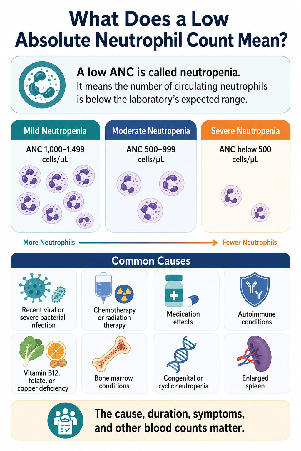 What Does a Low Absolute Neutrophil Count Mean?