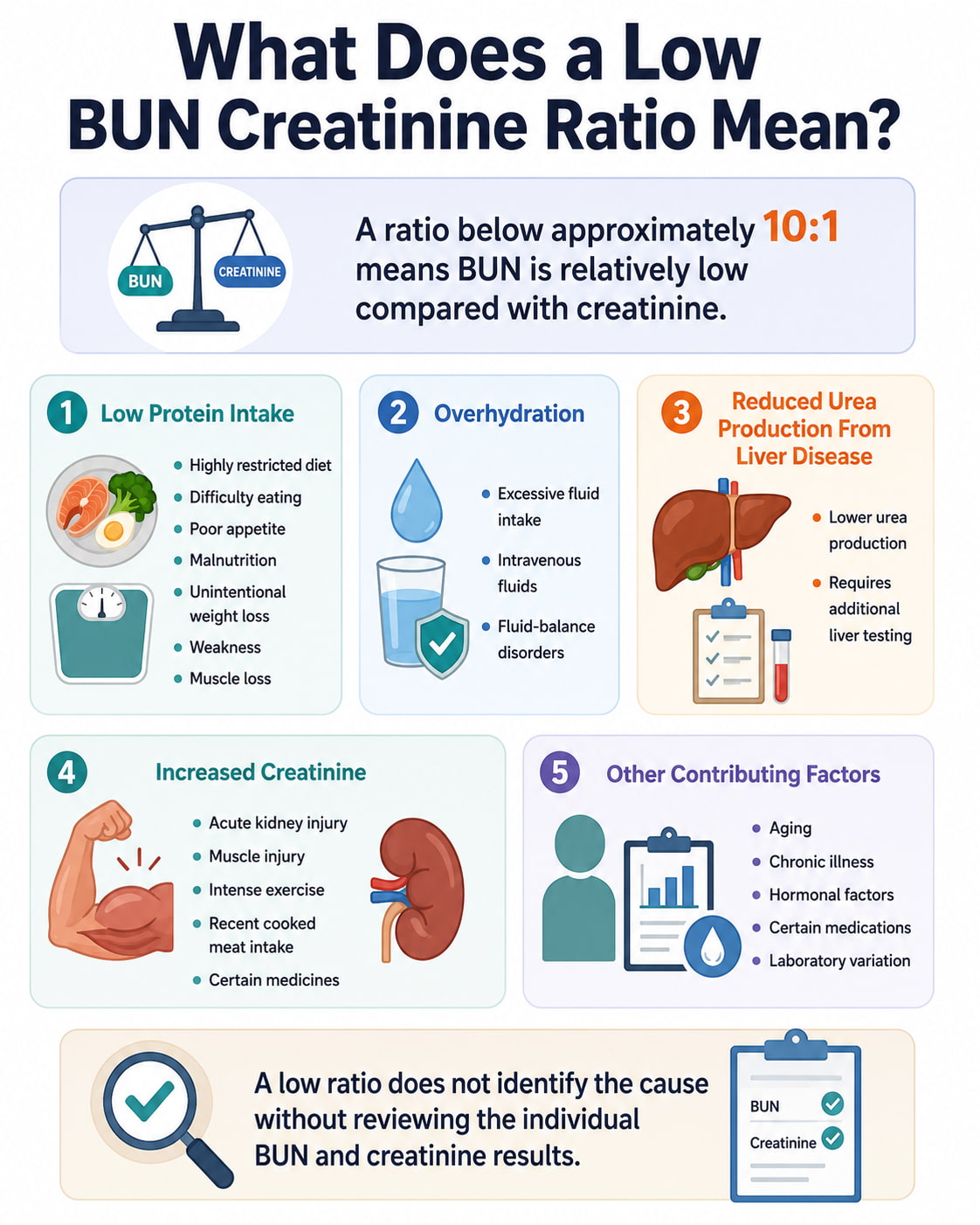 What Does a Low BUN Creatinine Ratio Mean?