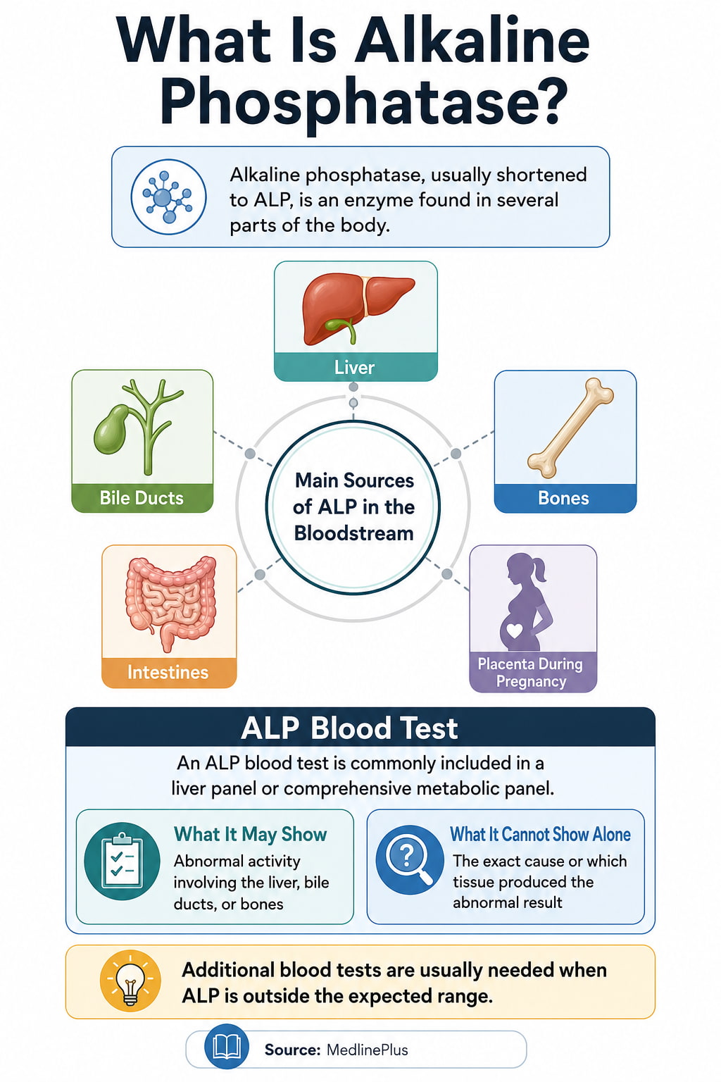 What Is Alkaline Phosphatase?