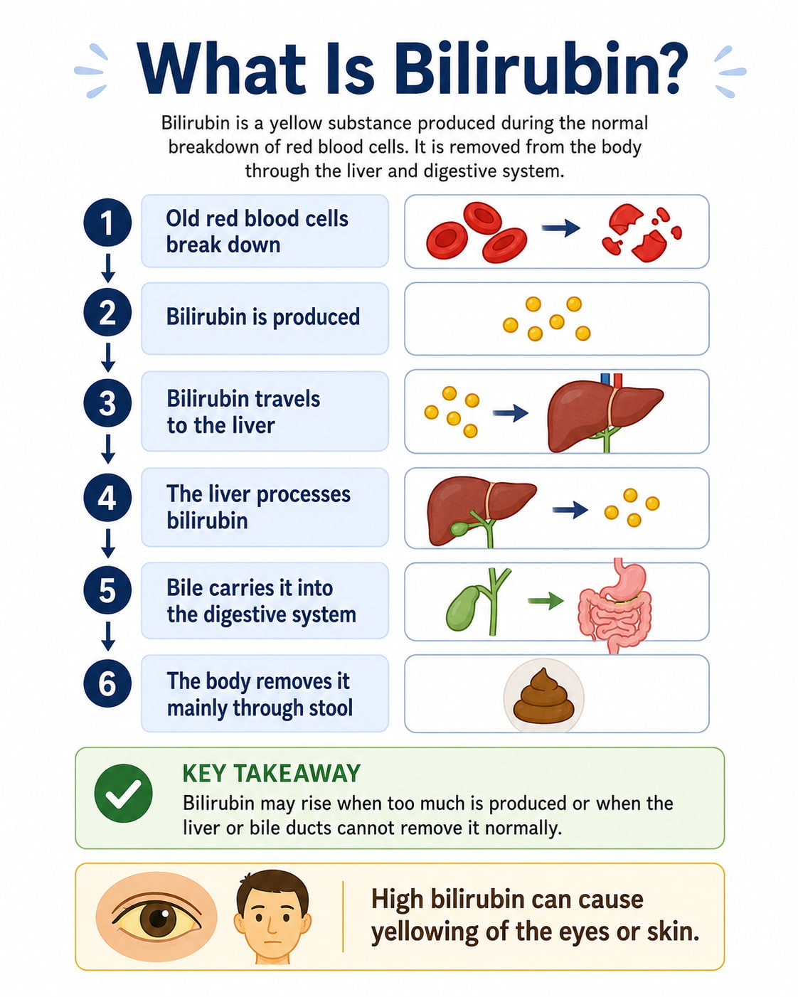 What Is Bilirubin?