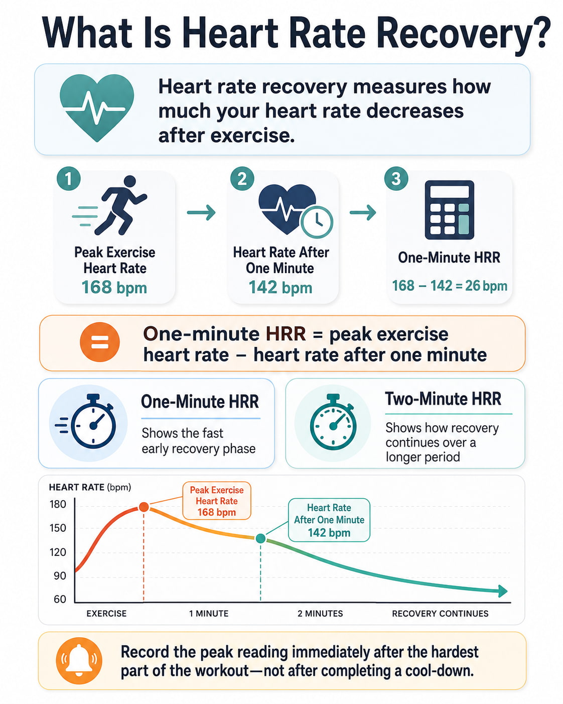 What Is Heart Rate Recovery?