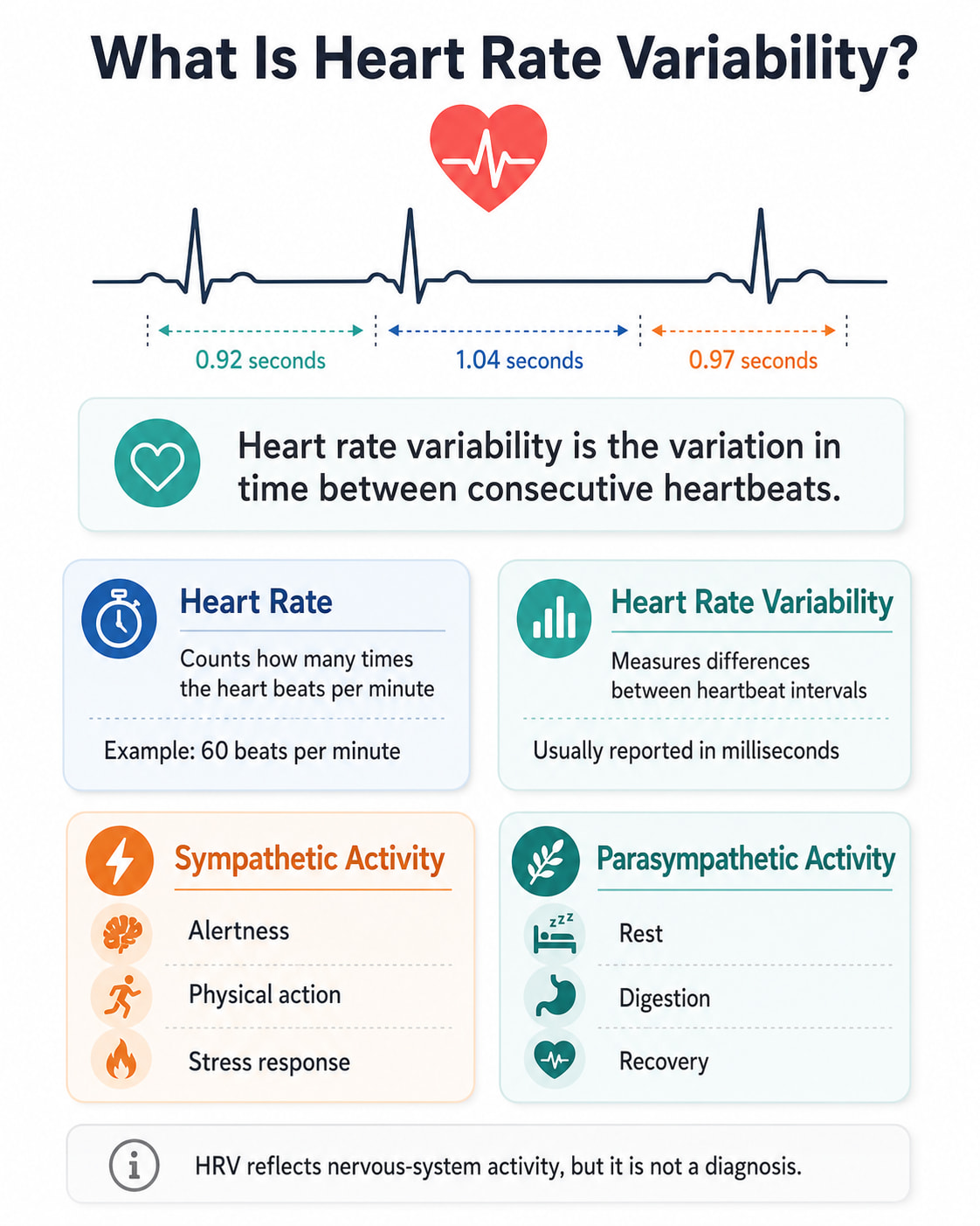 What Is Heart Rate Variability?