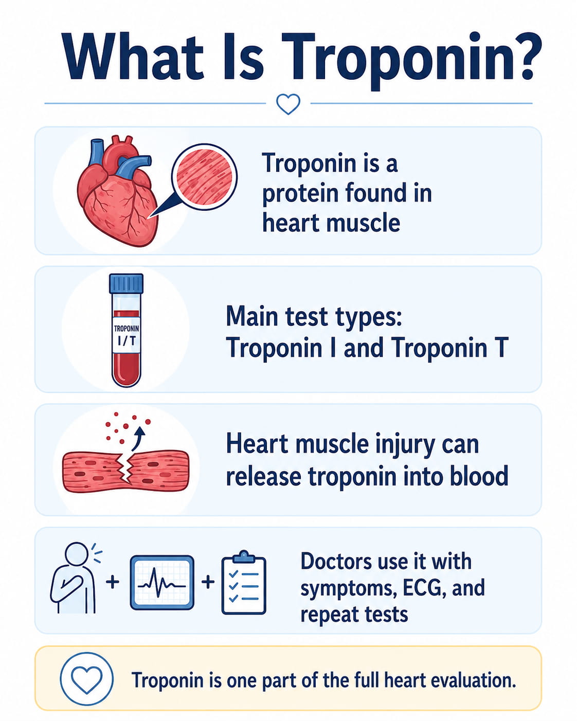 What Is Troponin?