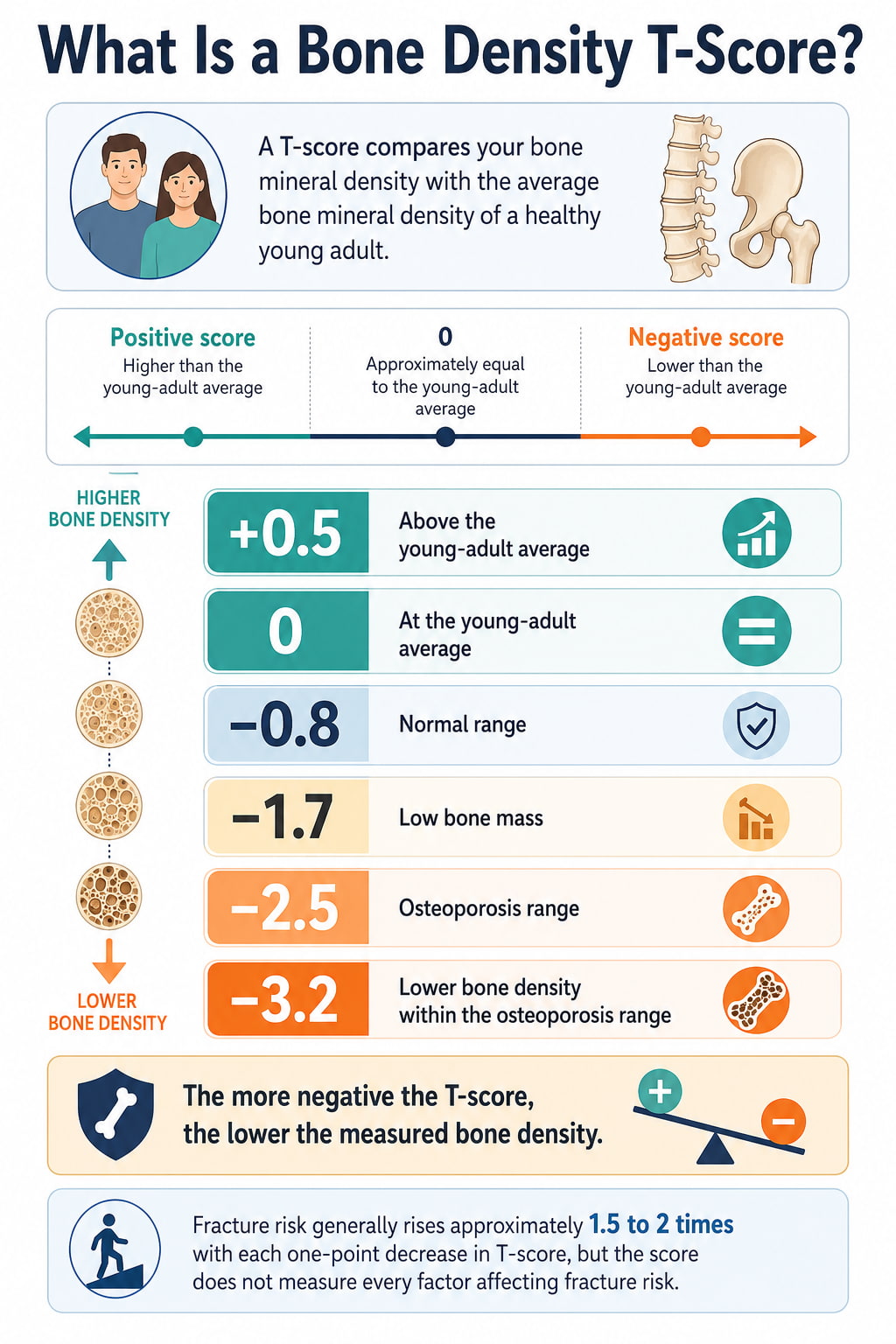 What Is a Bone Density T-Score?