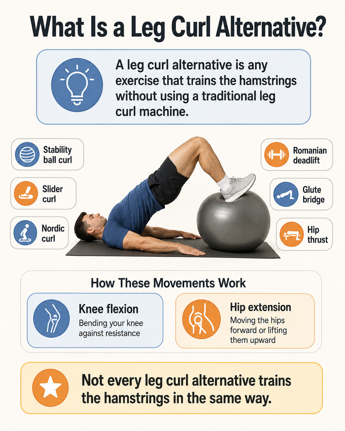 What Is a Leg Curl Alternative?