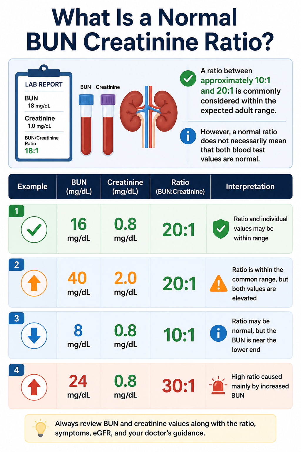 What Is a Normal BUN Creatinine Ratio?