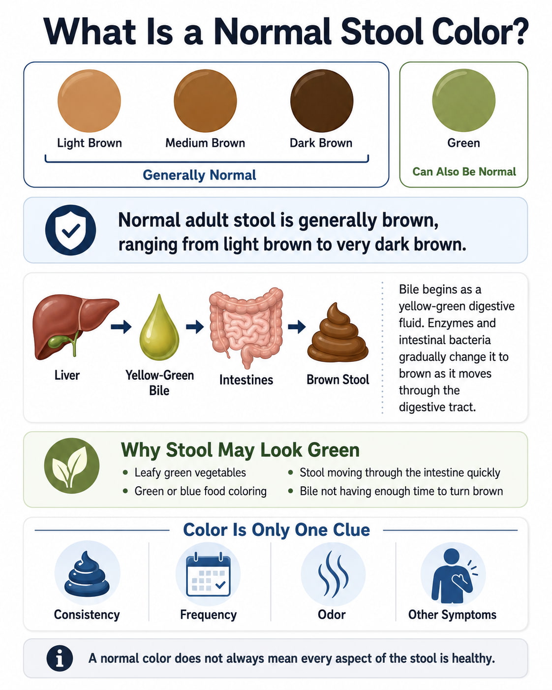 What Is a Normal Stool Color?