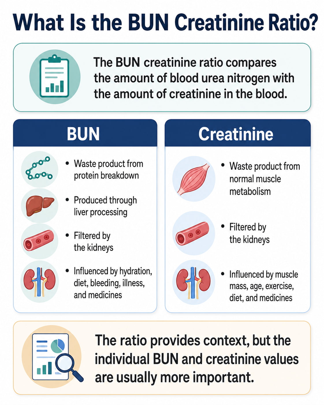 What Is the BUN Creatinine Ratio?