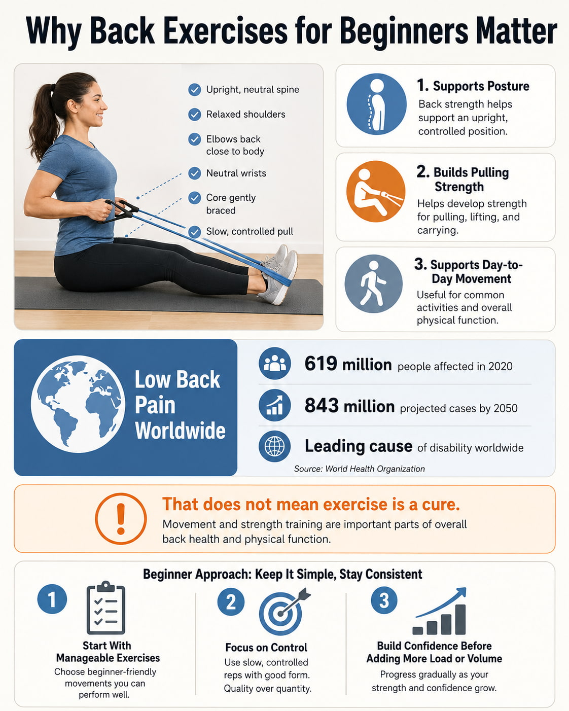 Why Back Exercises for Beginners Matter