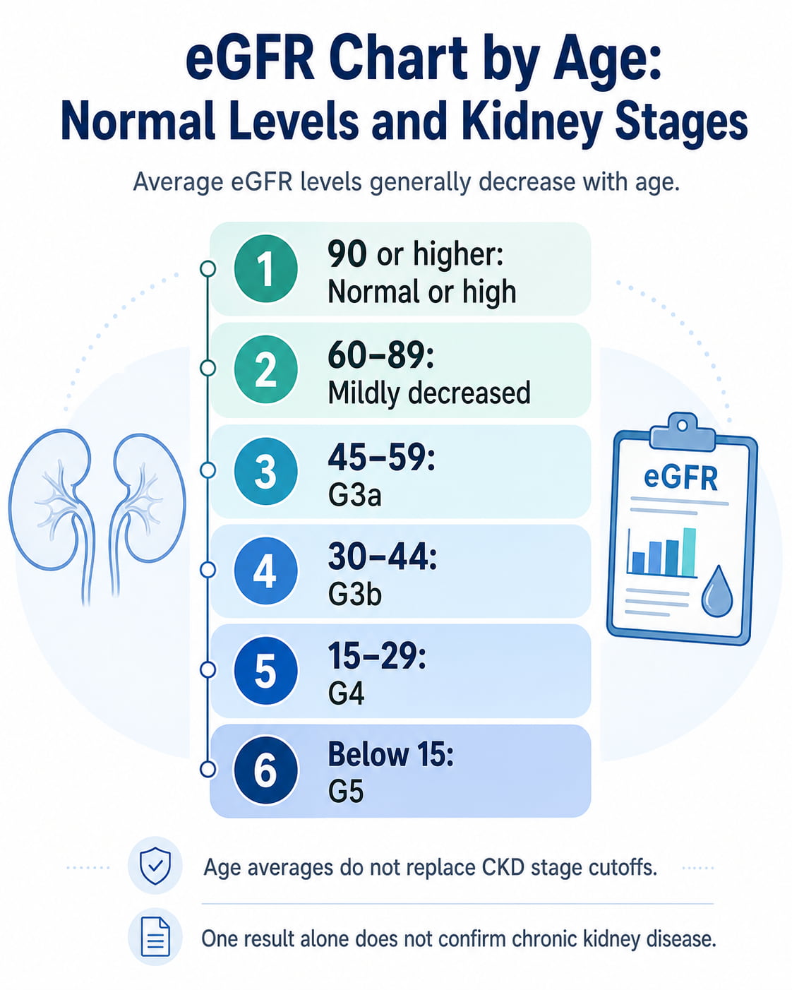 eGFR Chart by Age: Normal Levels and Kidney Stages