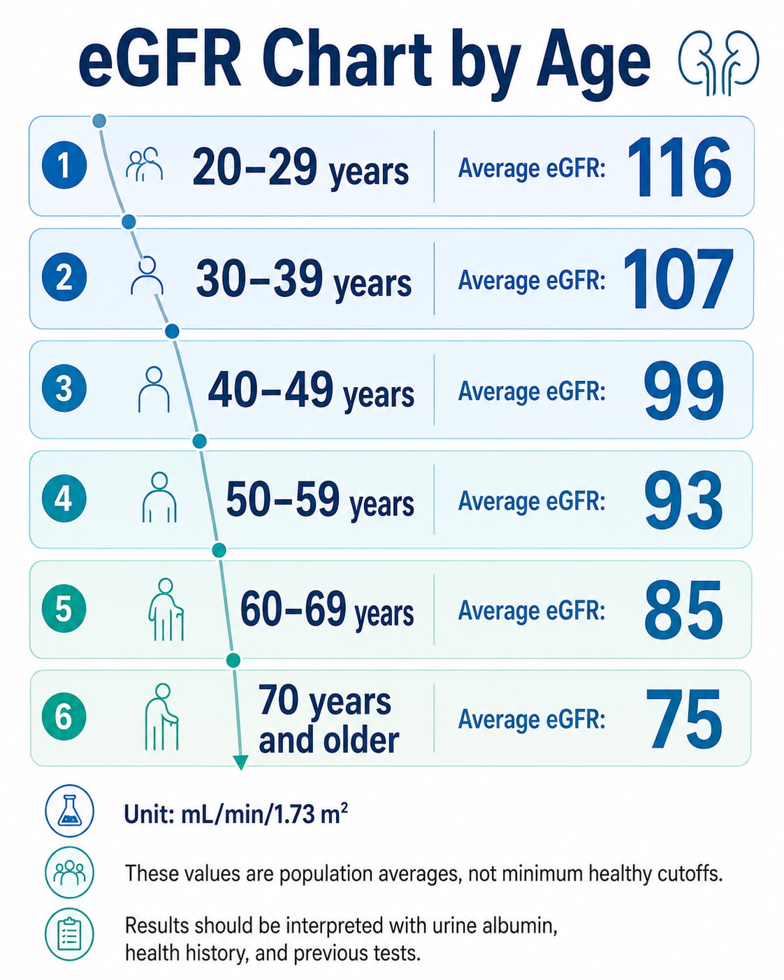 eGFR Chart by Age