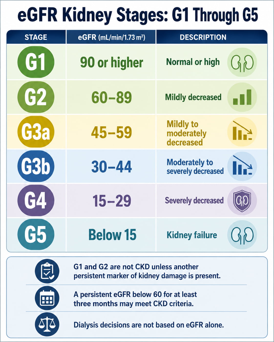eGFR Kidney Stages: G1 Through G5