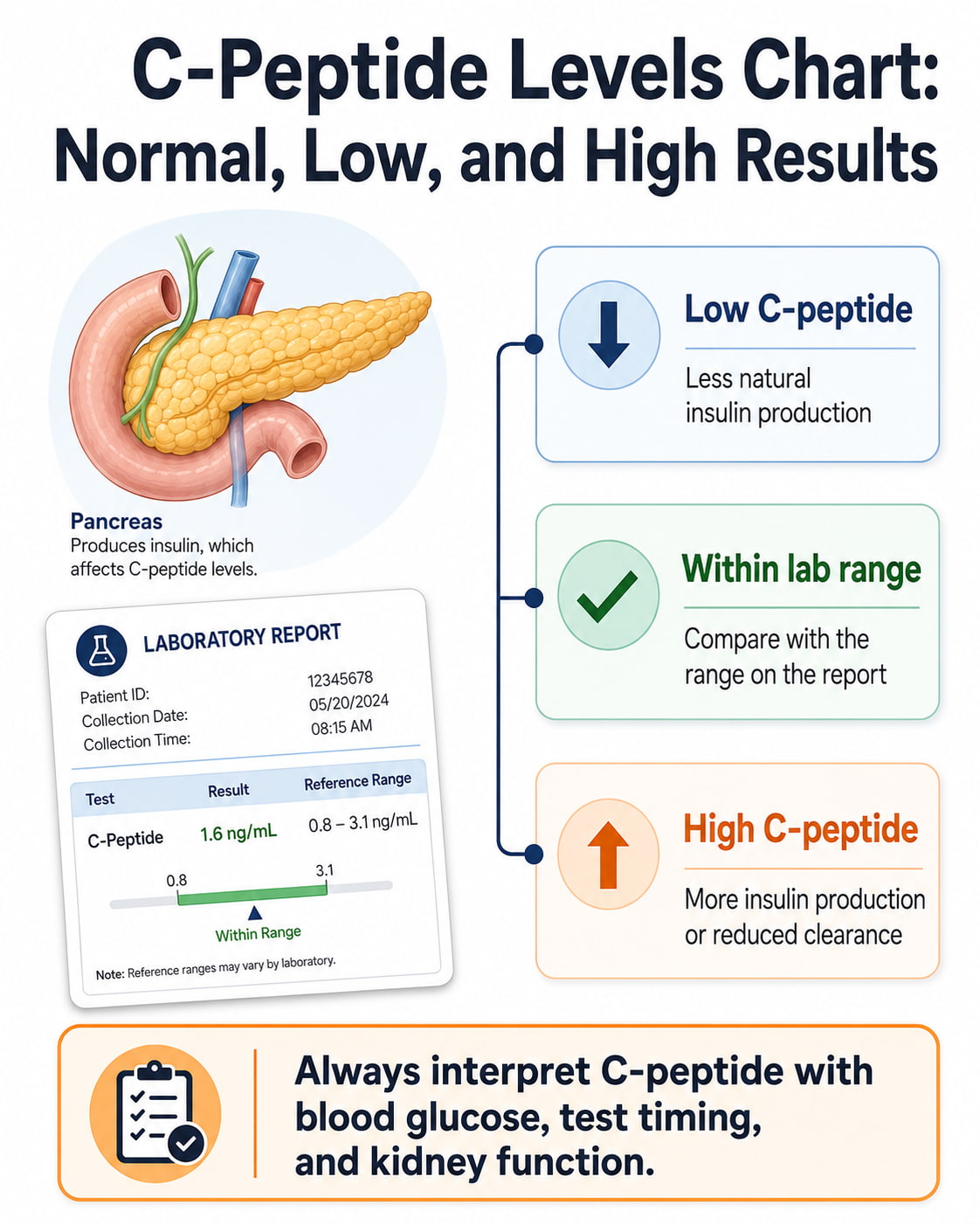 C-Peptide Levels Chart: Normal, Low, and High Results