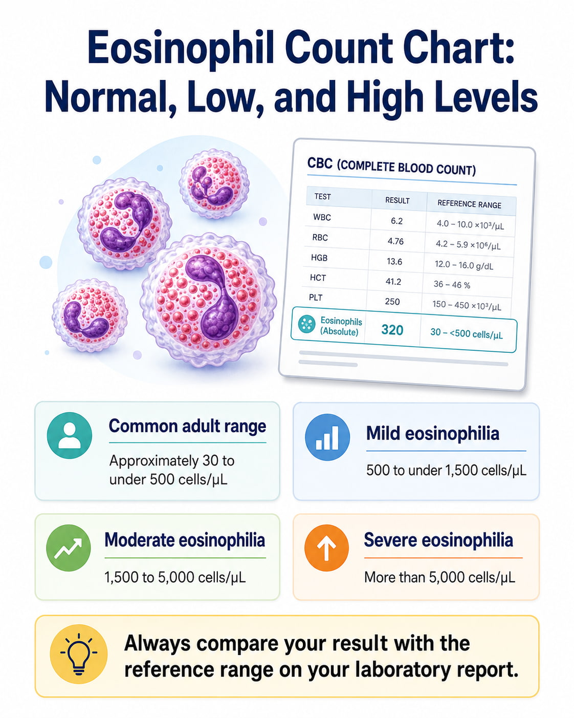 Eosinophil Count Chart: Normal, Low, and High Levels