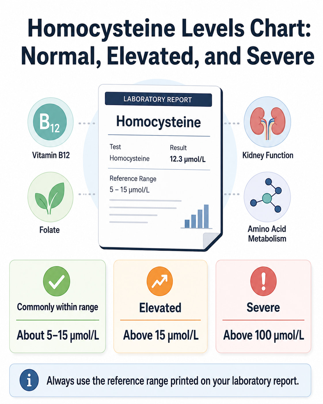 Homocysteine Levels Chart: Normal, Elevated, and Severe