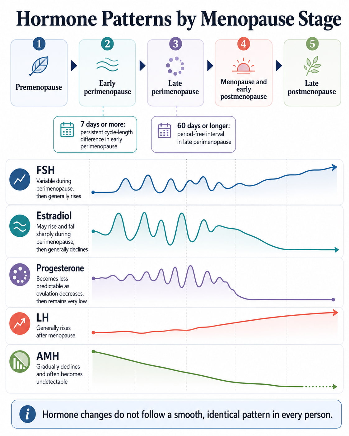 Hormone Patterns by Menopause Stage
