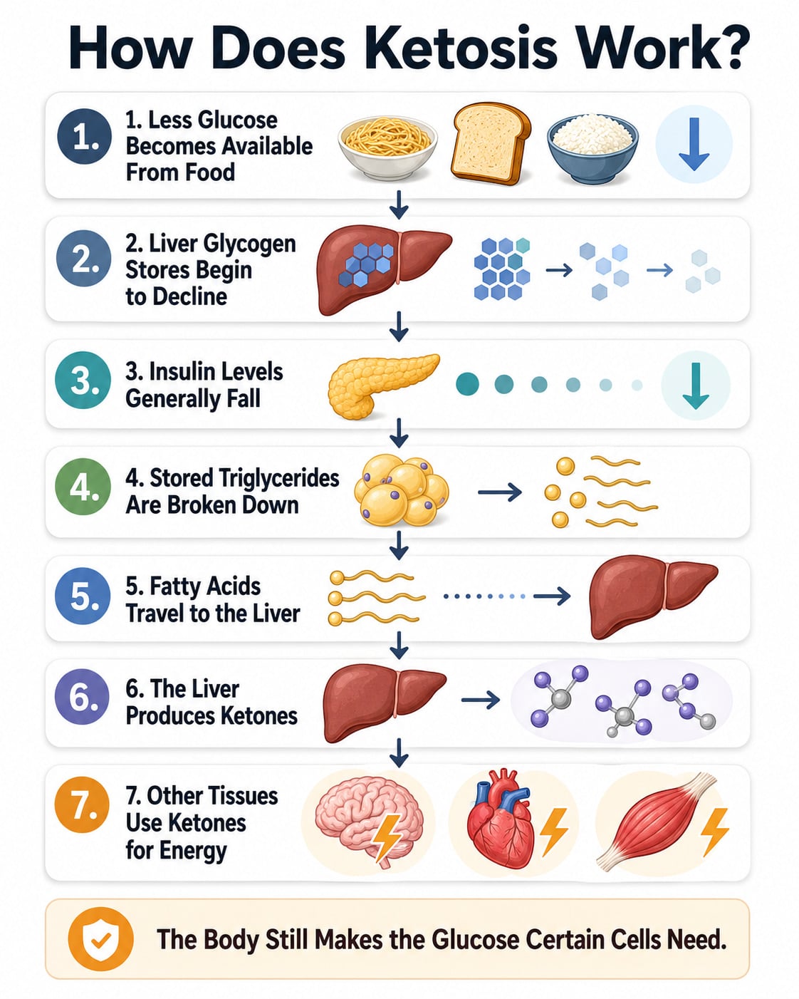 How Does Ketosis Work?