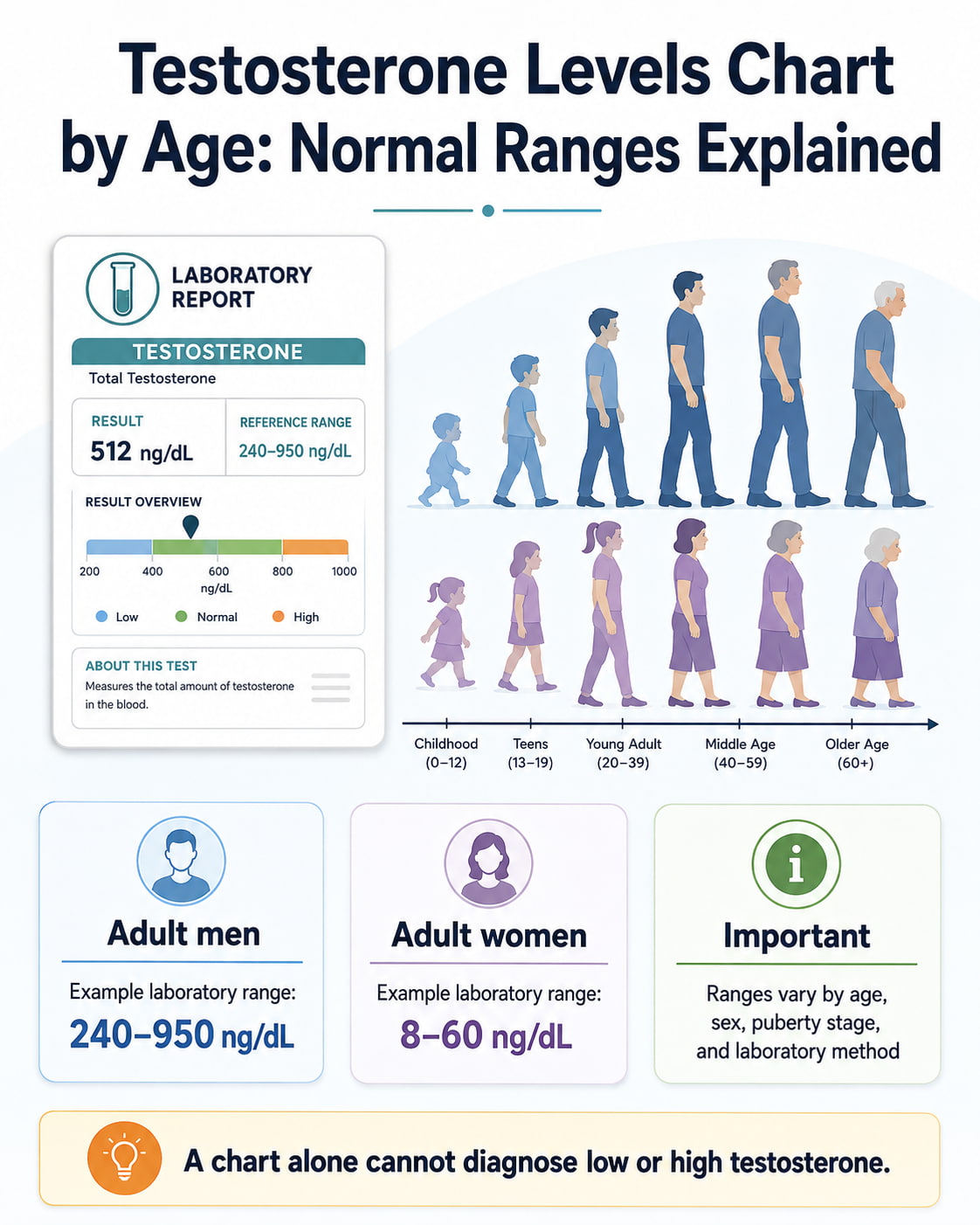 Testosterone Levels Chart by Age: Normal Ranges Explained