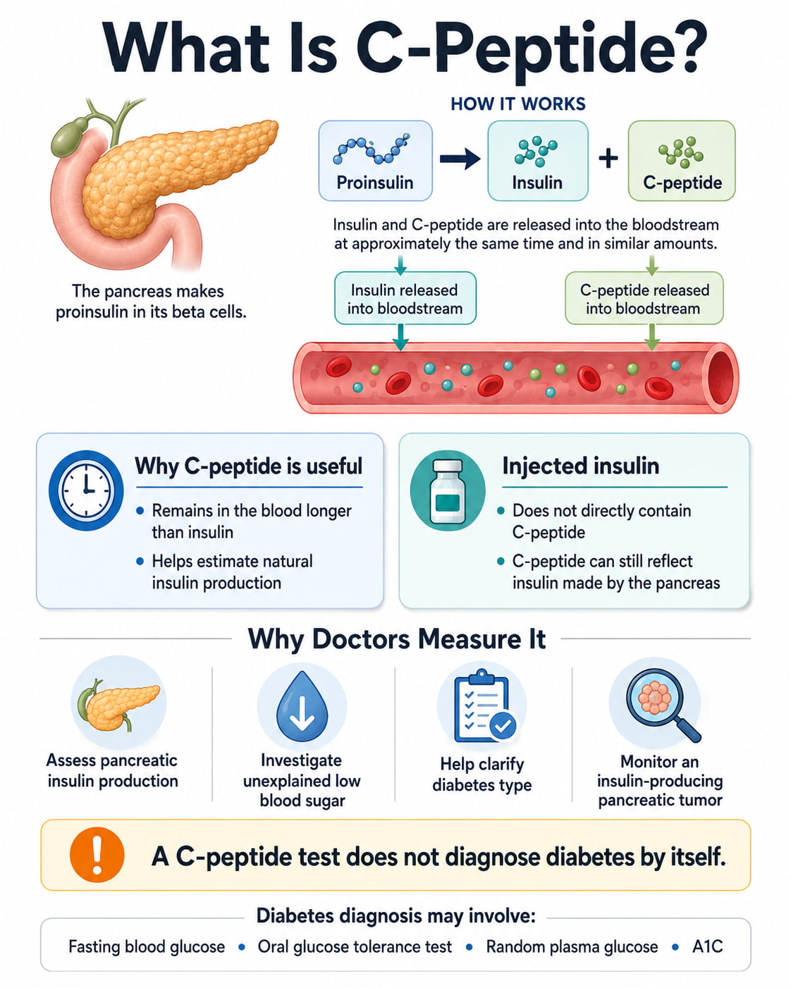What Is C-Peptide?