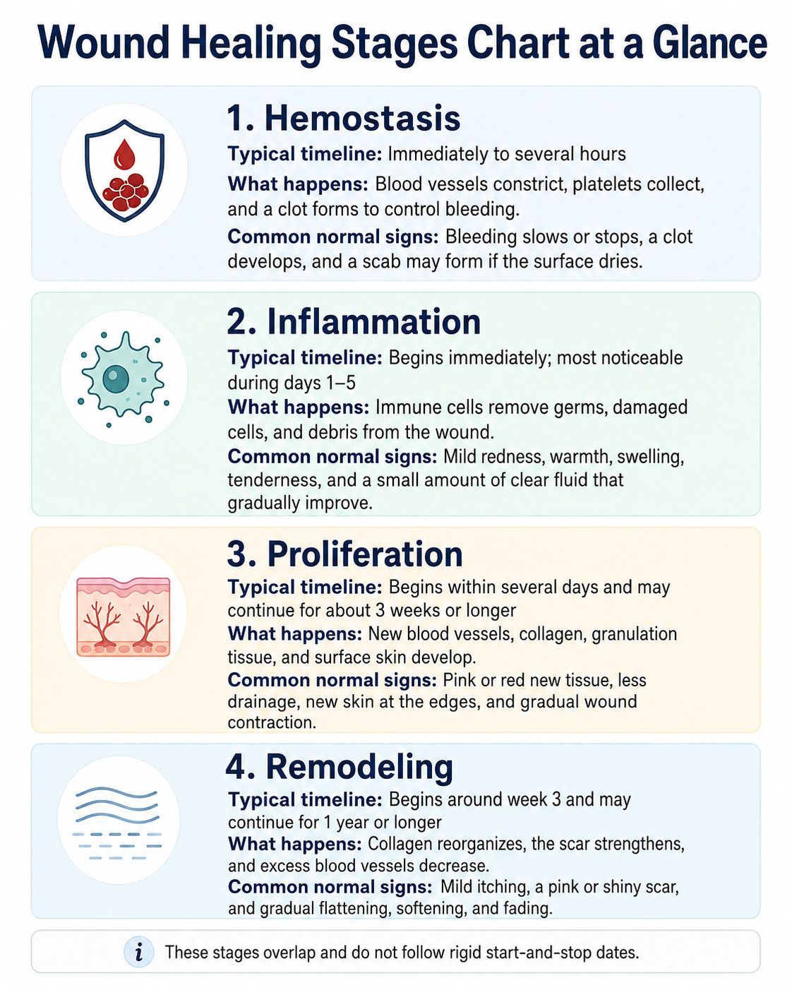 Wound Healing Stages Chart at a Glance