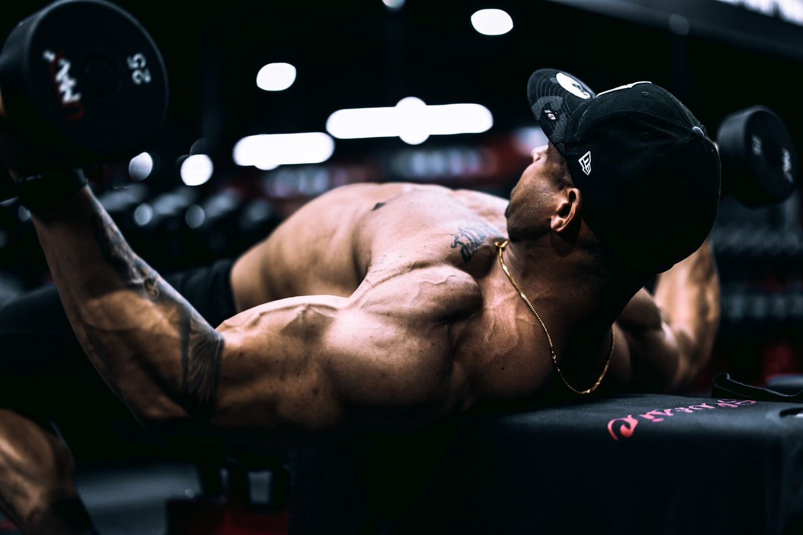 Dumbbell Chest Fly: Proper Form, Muscles Worked & Tips