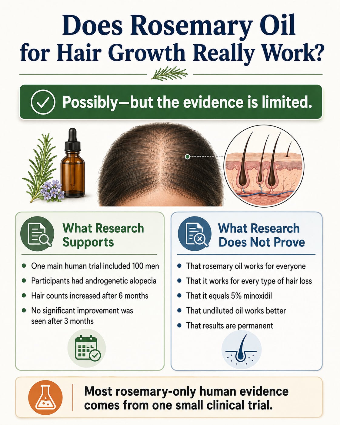 Does Rosemary Oil for Hair Growth Really Work?