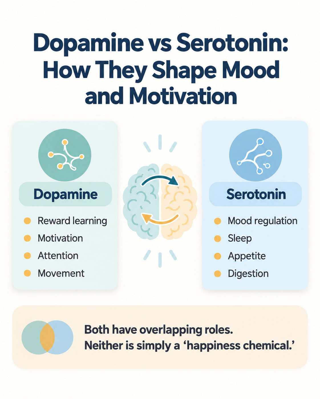 Dopamine vs Serotonin: How They Shape Mood and Motivation