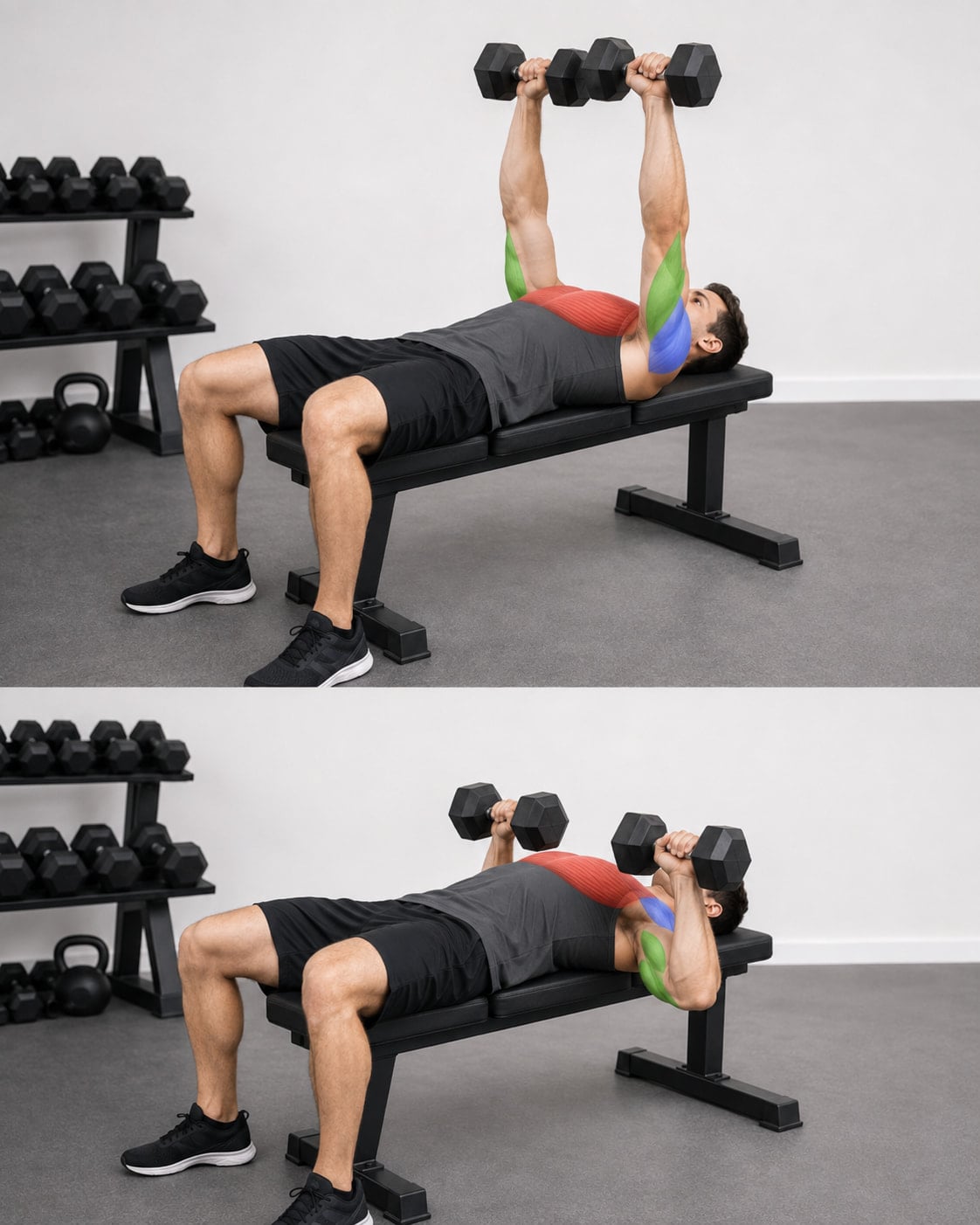 Dumbbell Bench Press Muscles Worked