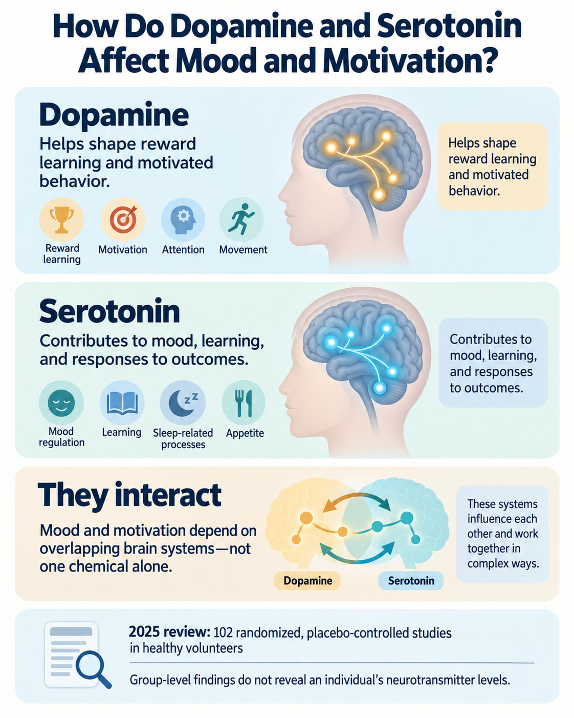 How Do Dopamine and Serotonin Affect Mood and Motivation?