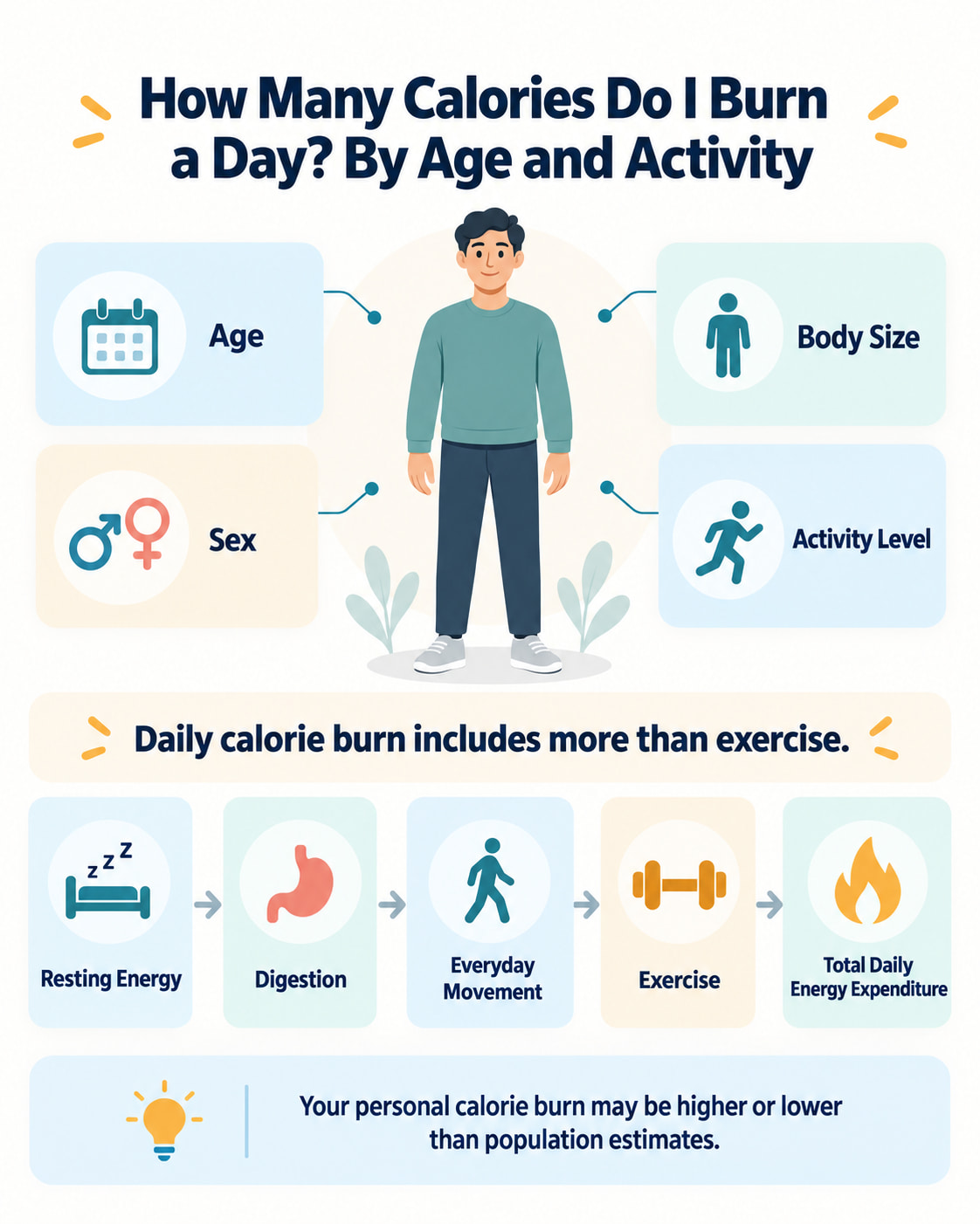 How Many Calories Do I Burn a Day