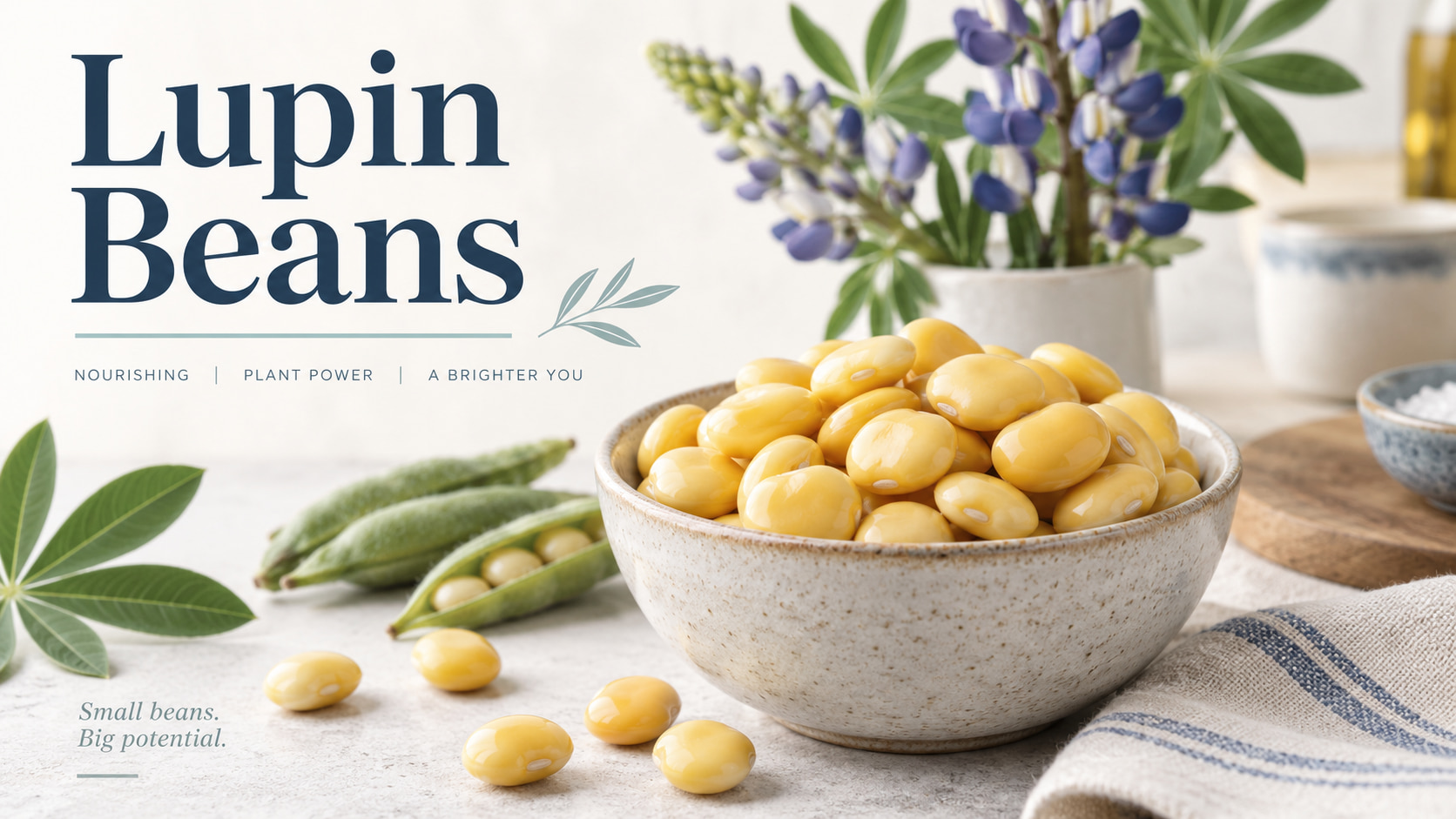 Lupin Beans: Nutrition, Benefits, Risks, and How to Eat