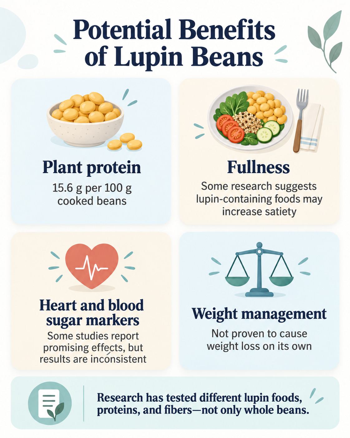 Potential Benefits of Lupin Beans