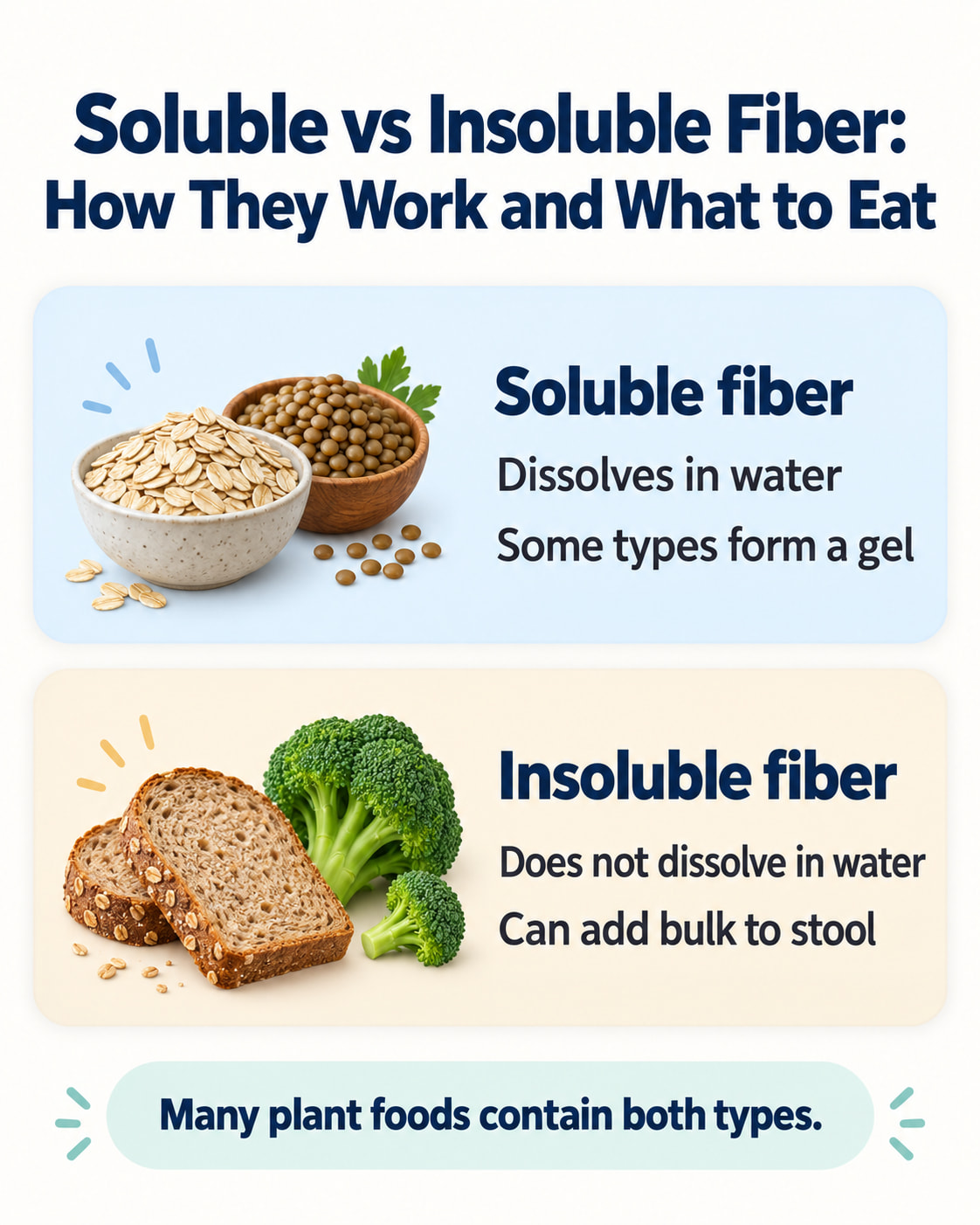Soluble vs Insoluble Fiber: How They Work and What to Eat